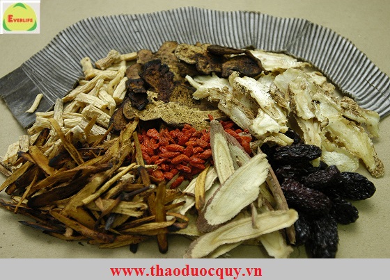 thao duoc chua benh gout